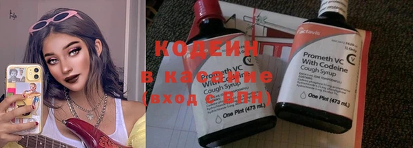 молекула духа Богданович
