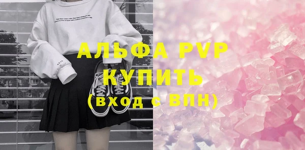 молекула духа Богданович