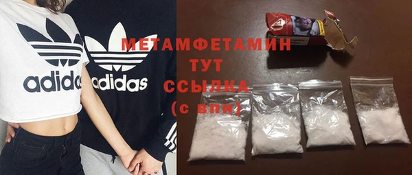 молекула духа Богданович