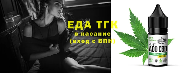 молекула духа Богданович
