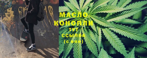 молекула духа Богданович
