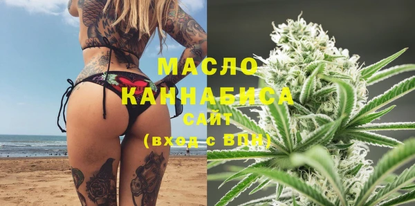 молекула духа Богданович
