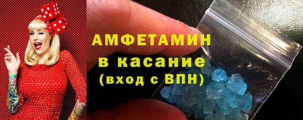 молекула духа Богданович