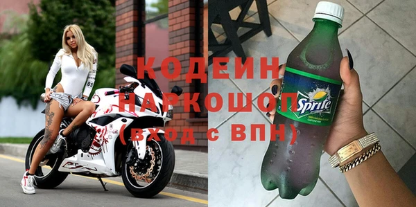 молекула духа Богданович