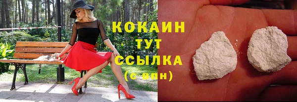 молекула духа Богданович